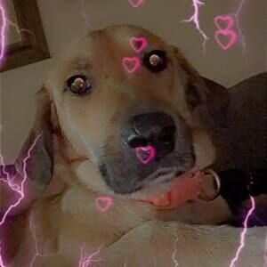 Meet your Posher, Char